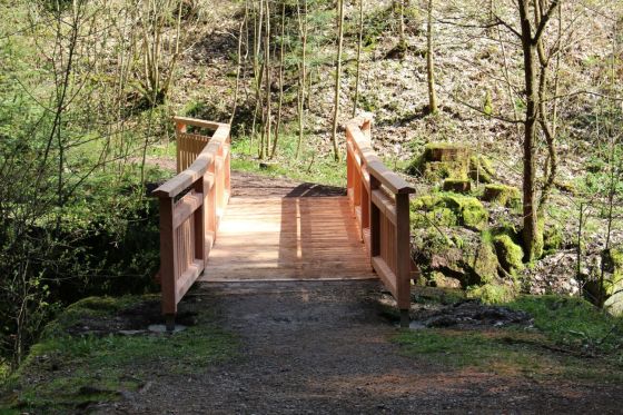 Neue Obere Monbachtalbrücke